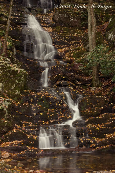 current photo on display