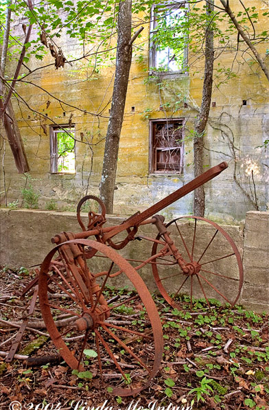 current photo on display