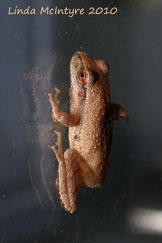 1st photo